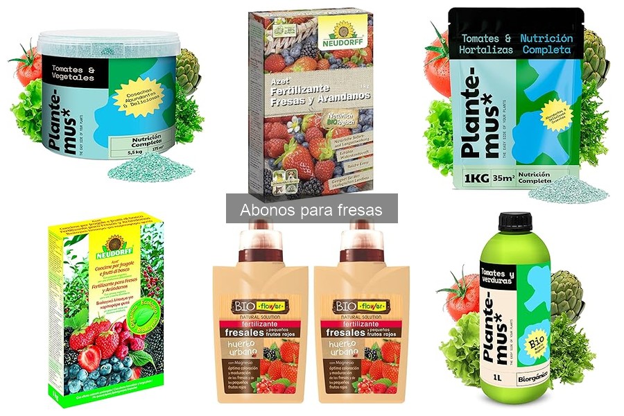 Efectos de la falta de nutrientes en el cultivo de fresas