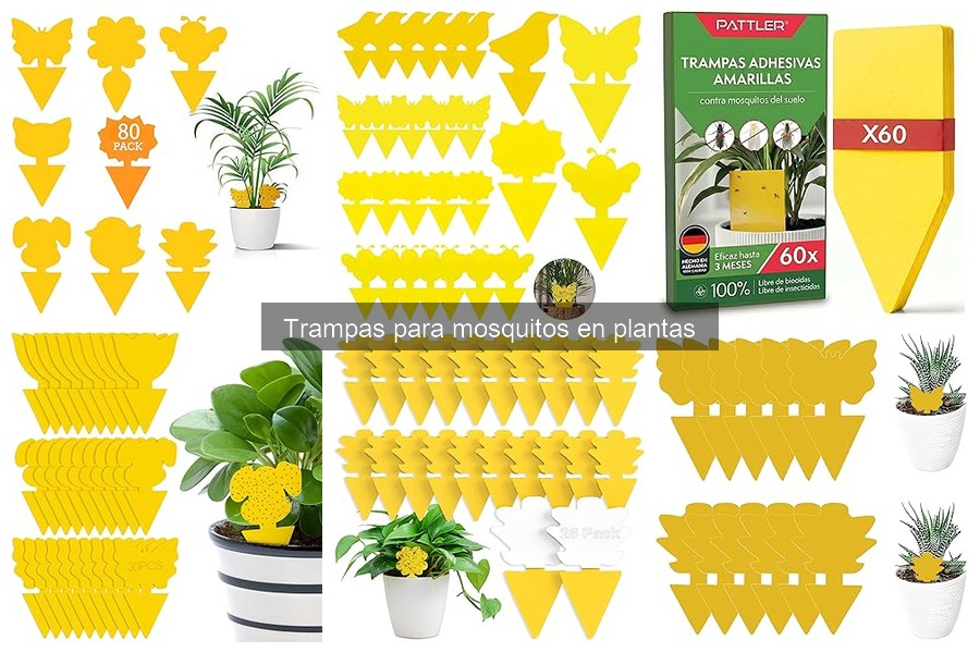Eficacia de las trampas para mosquitos en plantas: ¿realmente funcionan?
