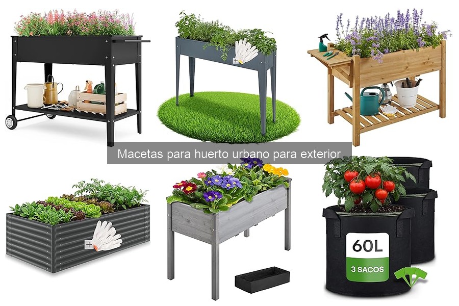 Eficacia de macetas con reserva de agua para huertos urbanos