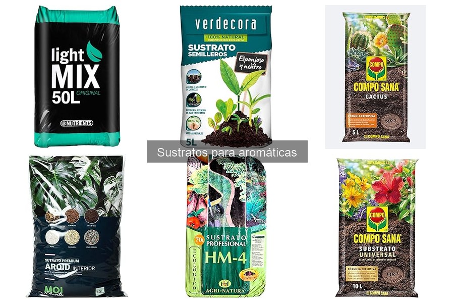 El mejor sustrato para cultivar albahaca: comparativa