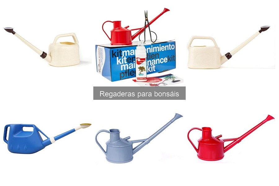 Errores al regar bonsáis y cómo evitarlos con la regadera adecuada