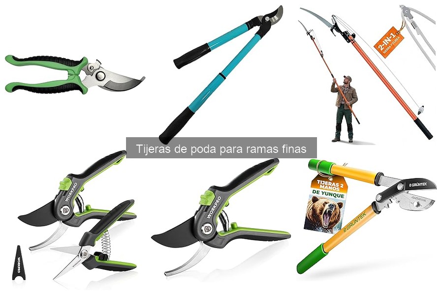 Errores al usar tijeras de poda para ramas finas y soluciones