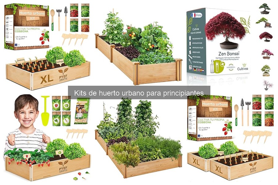 Errores comunes al cuidar plantas en tu huerto urbano