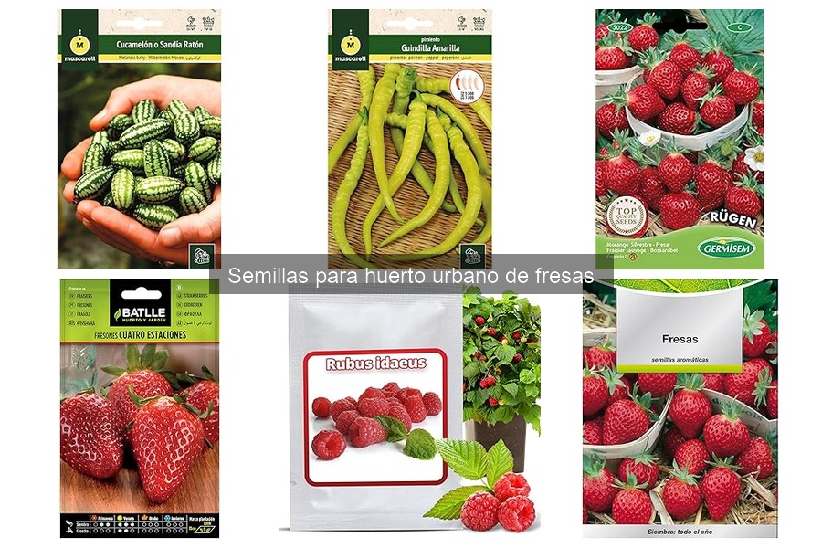 Errores comunes al cultivar fresas en casa y sus soluciones