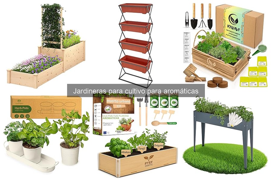 Errores comunes al cultivar hierbas aromáticas en jardineras