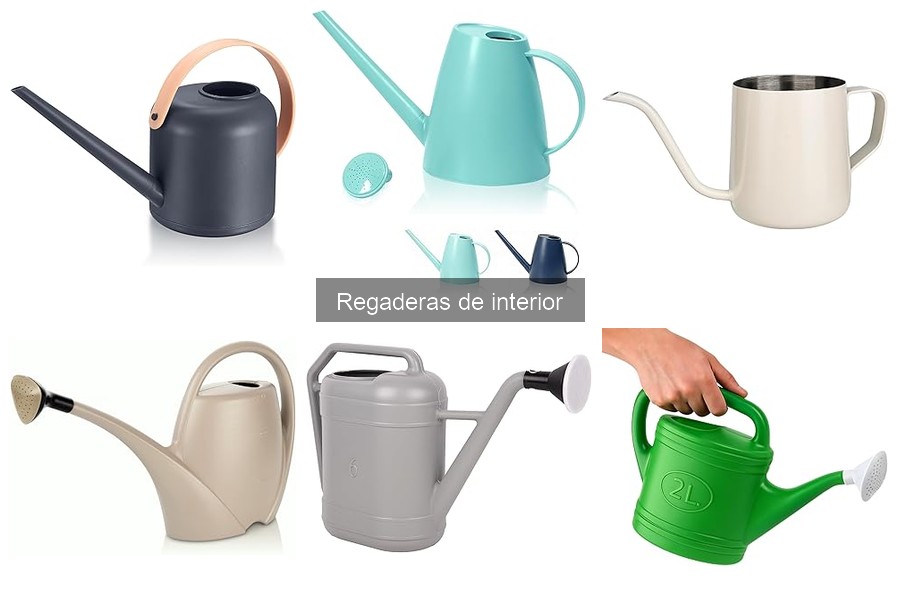 Errores comunes al elegir una regadera de interior