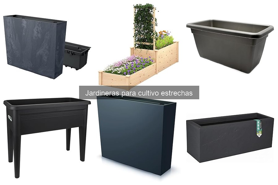 Errores comunes al plantar en jardineras estrechas