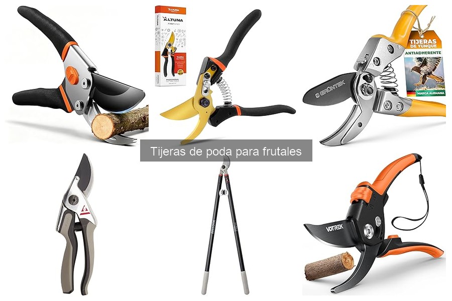 Errores comunes al podar frutales con tijeras y su impacto