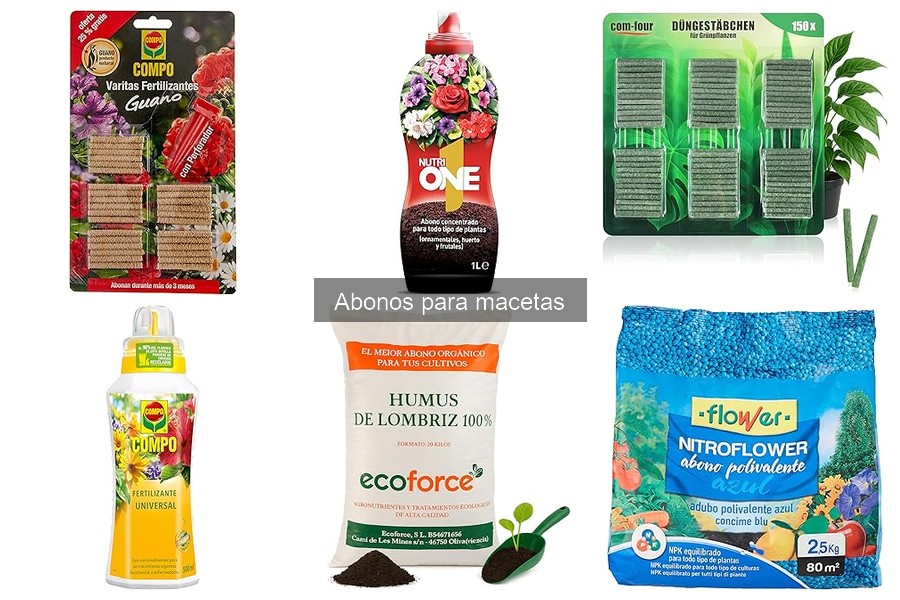 Errores comunes al usar abono en macetas y cómo solucionarlos