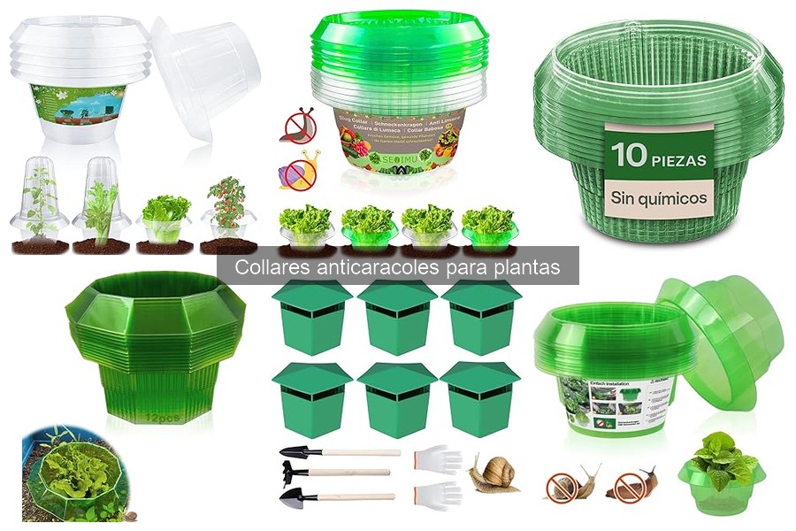 Errores comunes al usar collares anticaracoles para plantas