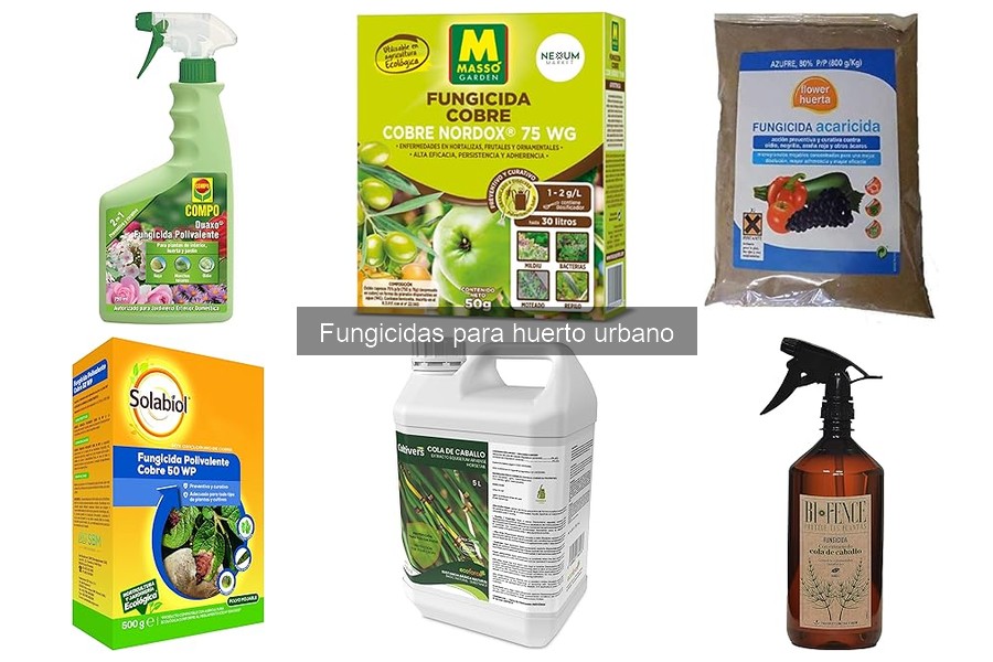 Errores comunes al usar fungicidas en huertos urbanos