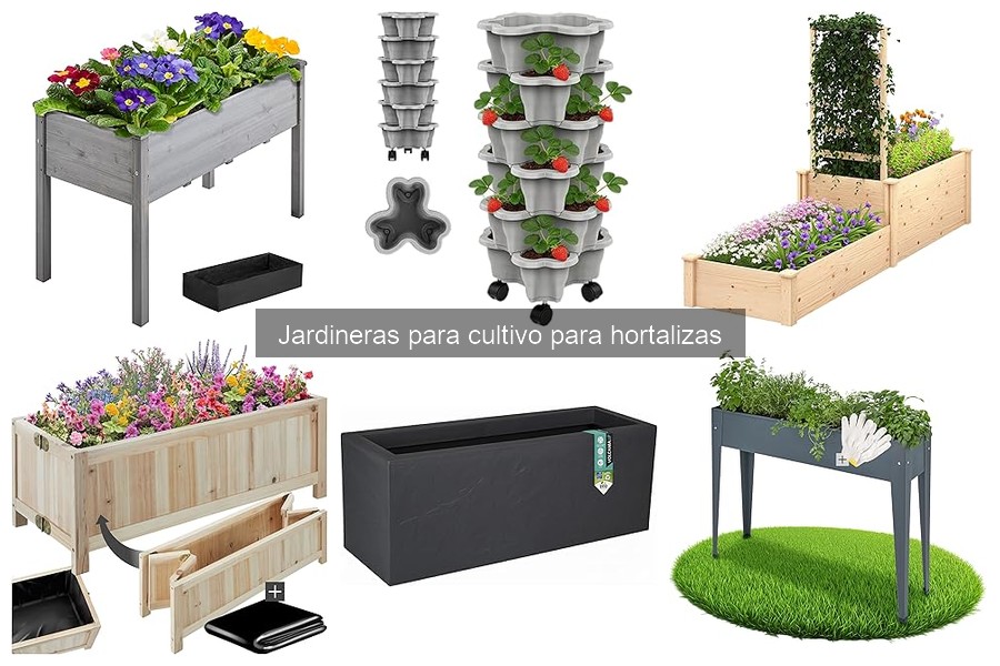 Errores comunes al usar jardineras para hortalizas