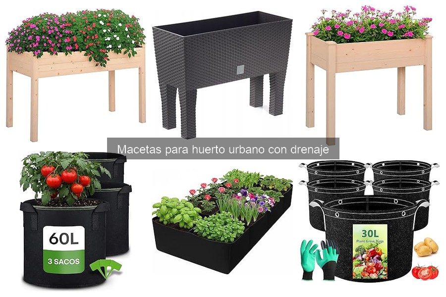 Errores comunes al usar macetas con drenaje en huerto urbano