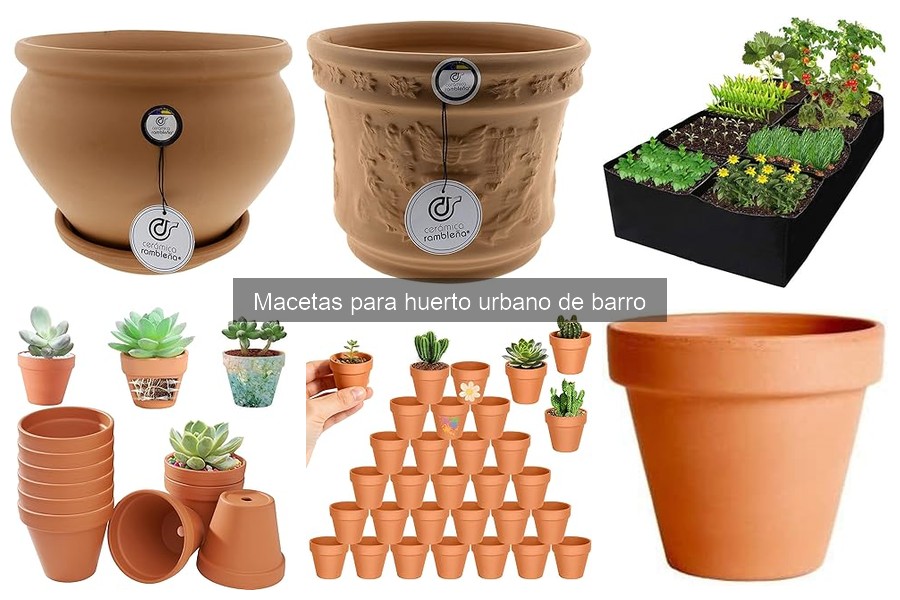 Errores comunes al usar macetas de barro en tu huerto urbano