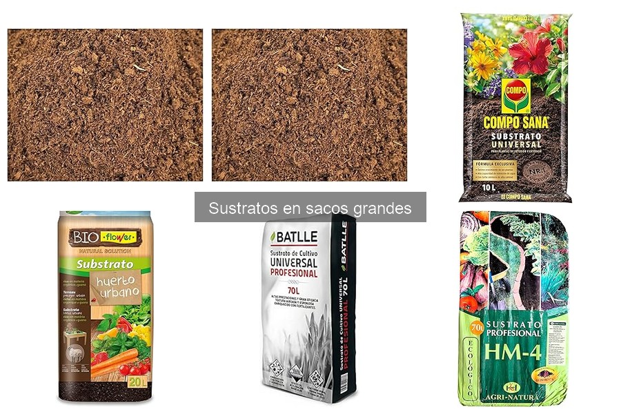 Errores comunes al usar sustratos en sacos grandes