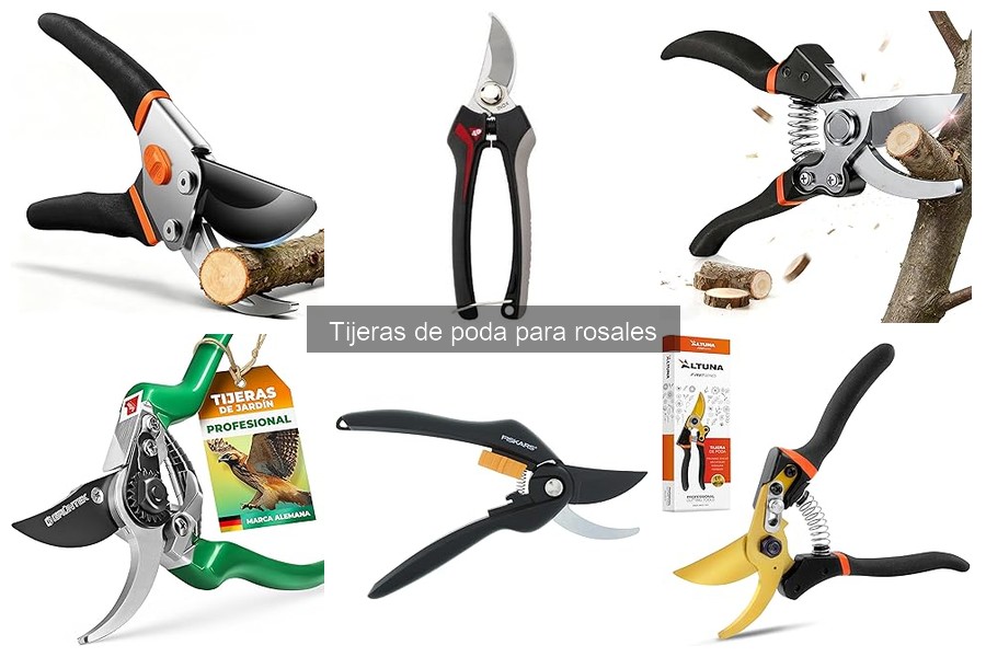 Errores comunes al usar tijeras de poda para rosales
