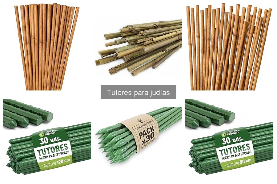 Errores comunes al usar tutores para judías en tu huerto