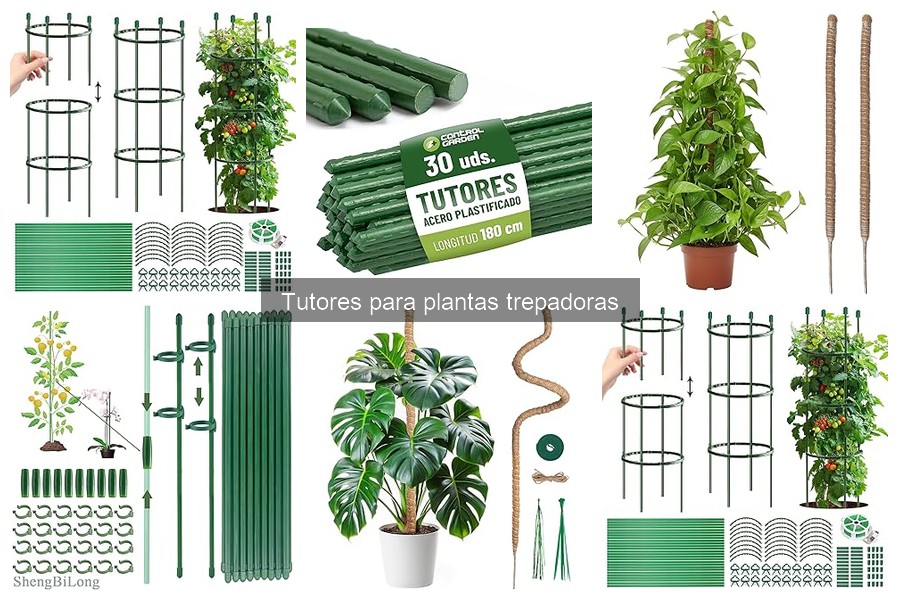 Errores comunes al usar tutores para plantas trepadoras