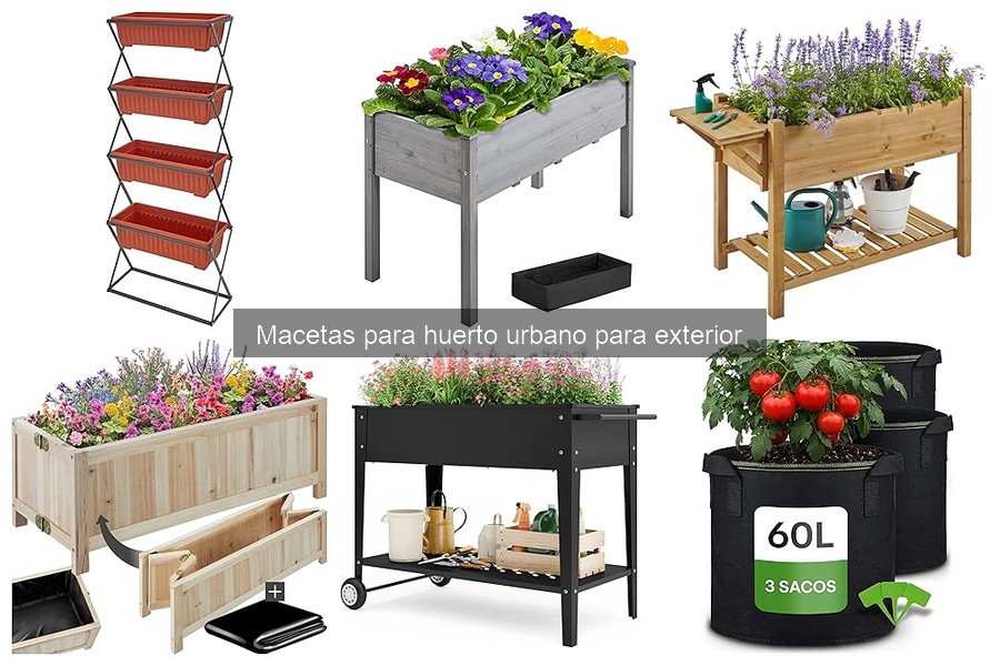 Errores comunes con macetas en tu huerto urbano y soluciones
