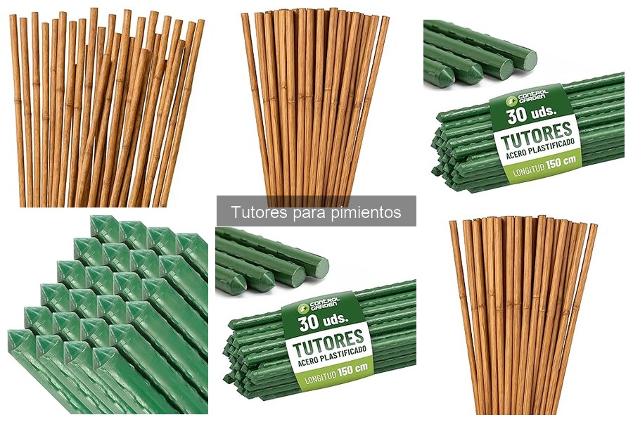 Experiencias Reales con Tutores para Pimientos: Testimonios