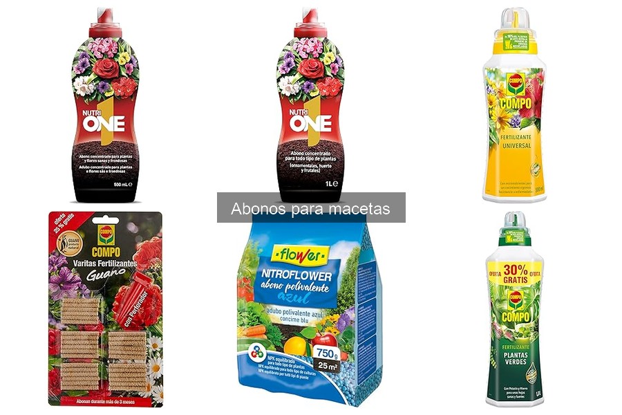 FAQ sobre Abonos para Macetas: Respuestas Clave