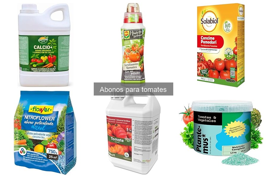 Frecuencia Ideal para Aplicar Abonos a Tomates