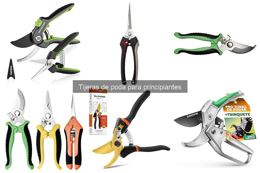 Guía de compra: características clave de tijeras de poda