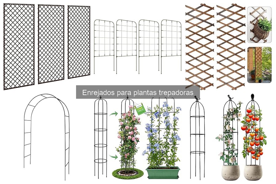 Guía de compra de enrejados para plantas trepadoras