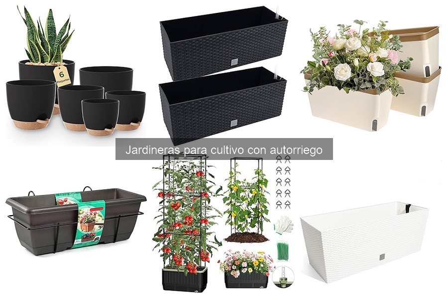 Guía de compra de jardineras con autorriego para tu hogar