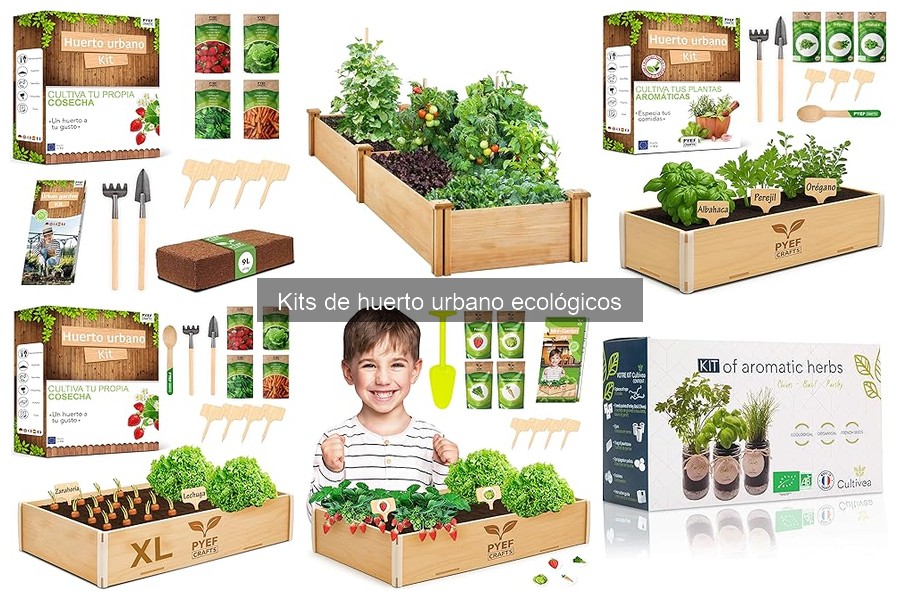 Guía de compra de kits de huerto urbano ecológicos