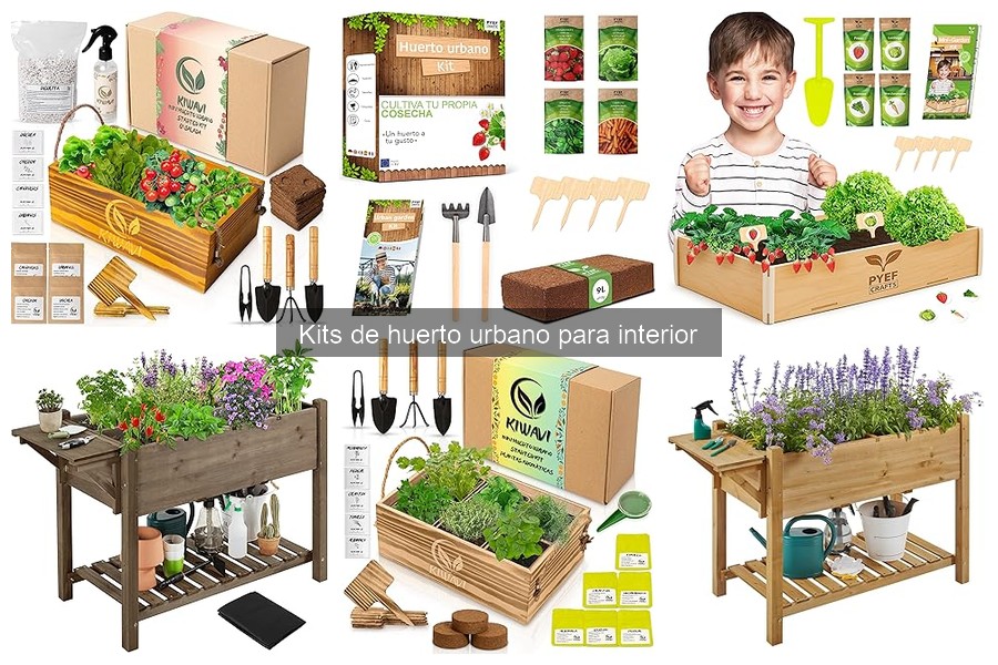Guía de compra de kits de huerto urbano para interior