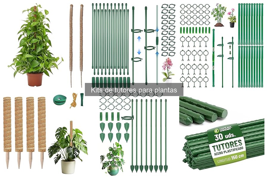 Guía de compra de kits de tutores para plantas