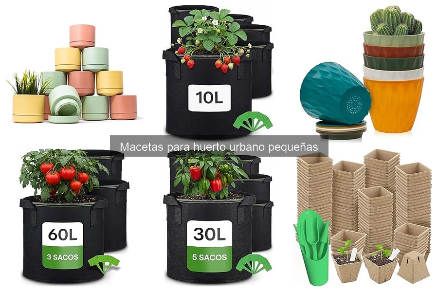 Guía de compra de macetas pequeñas para huerto urbano