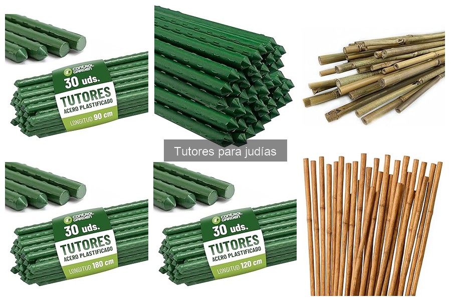 Guía de compra de tutores para judías: tips y materiales