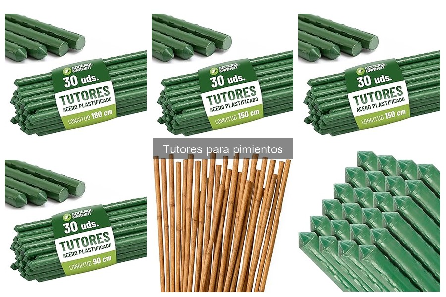 Guía de compra de tutores para pimientos en huertos urbanos
