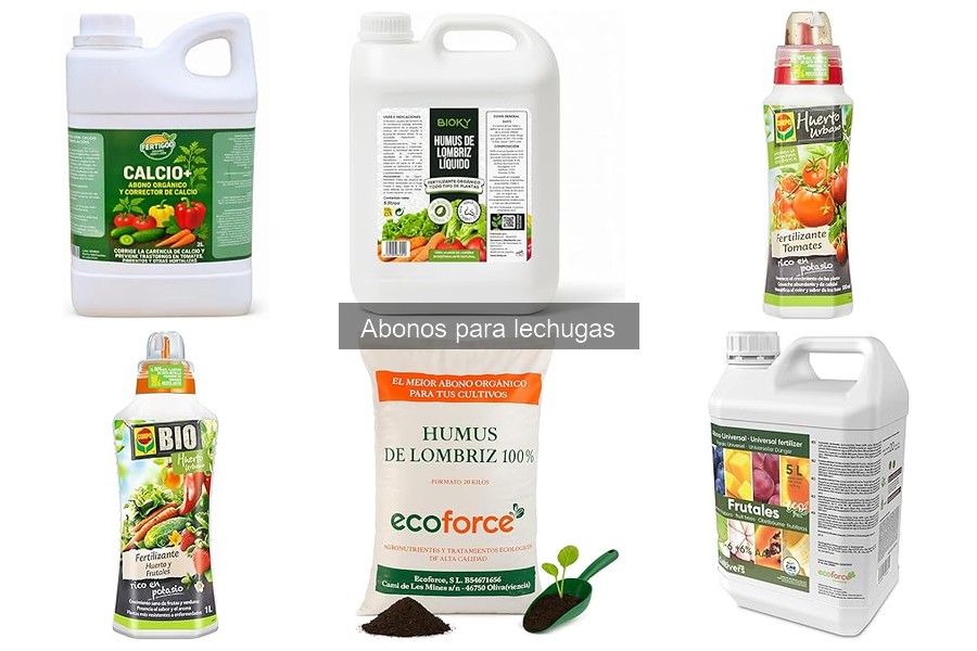 ** Guía de compra: Mejores abonos para lechugas