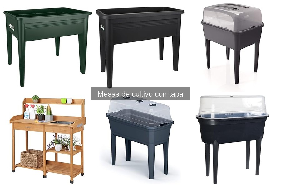Guía de Compra: Mesas de Cultivo con Tapa para Jardín