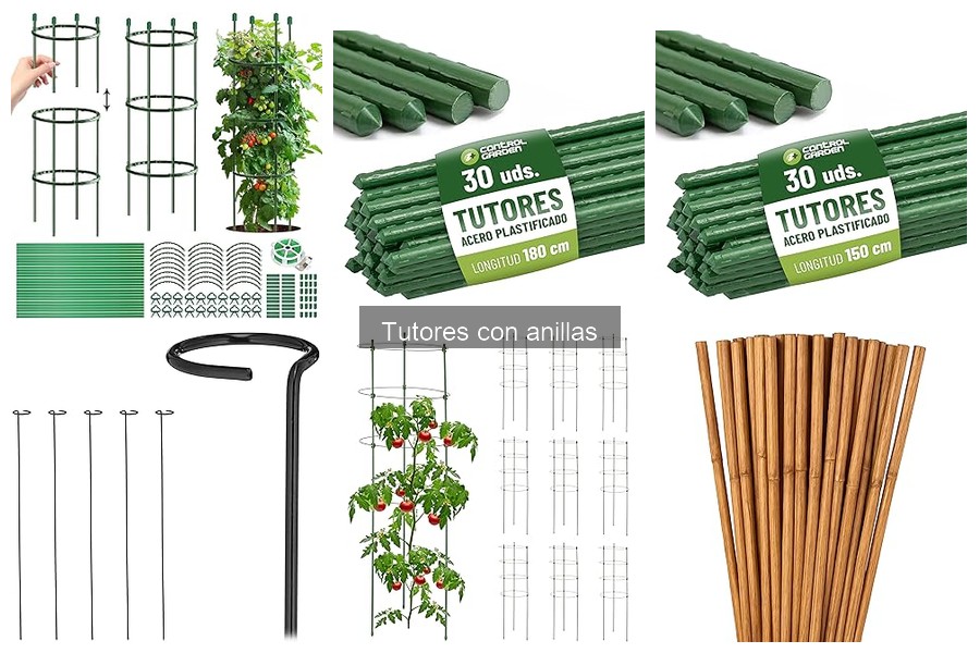 Guía de Instalación de Tutores con Anillas para el Jardín