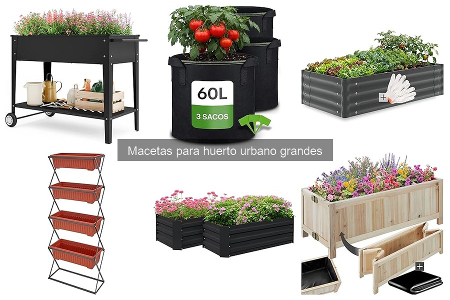 Guía de Mantenimiento para Macetas Grandes en Huertos Urbanos