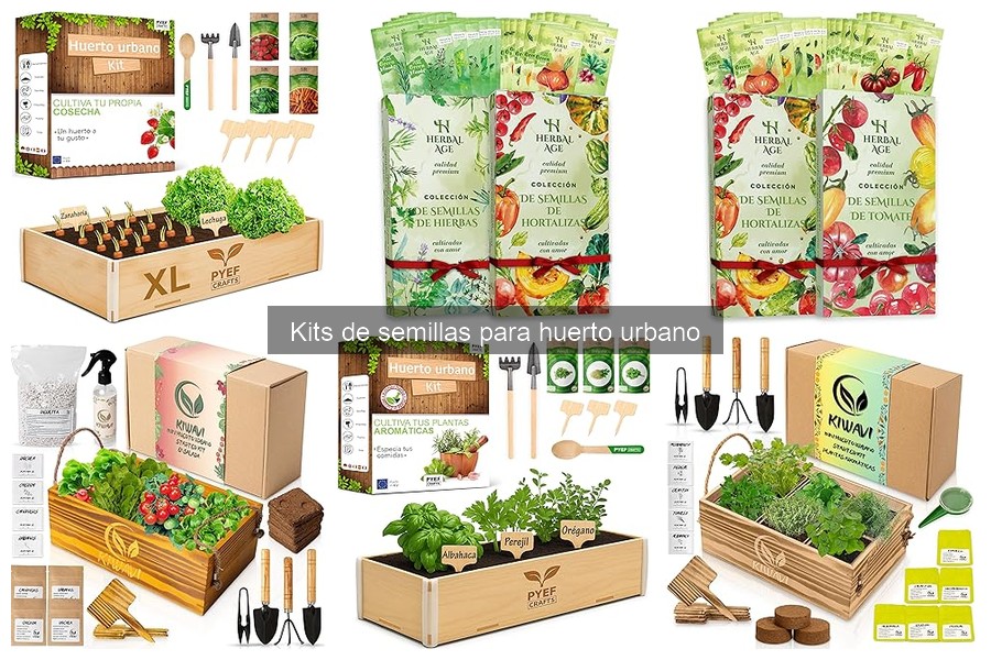 Guía de Uso de Kits de Semillas para Huerto Urbano
