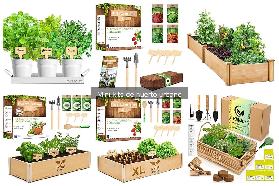 Guía de Uso y Cuidado de Mini Kits de Huerto Urbano