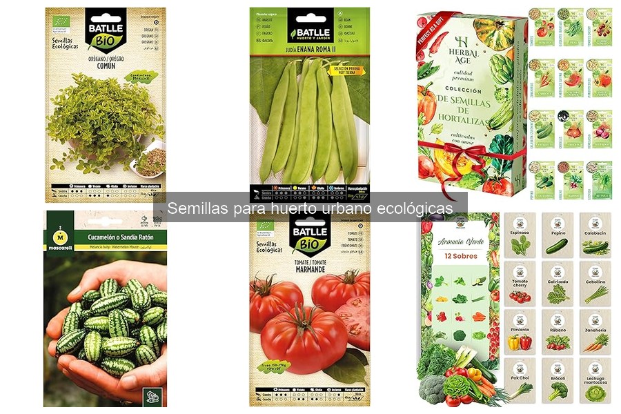 Guía para cultivar semillas ecológicas en casa
