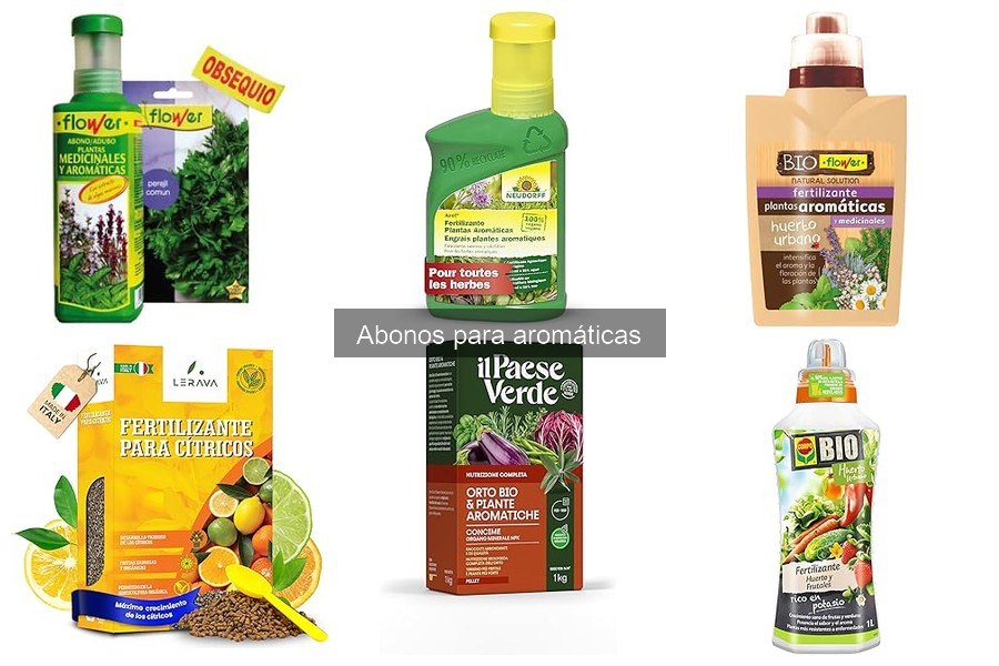 Guía para elegir el abono ideal para hierbas aromáticas
