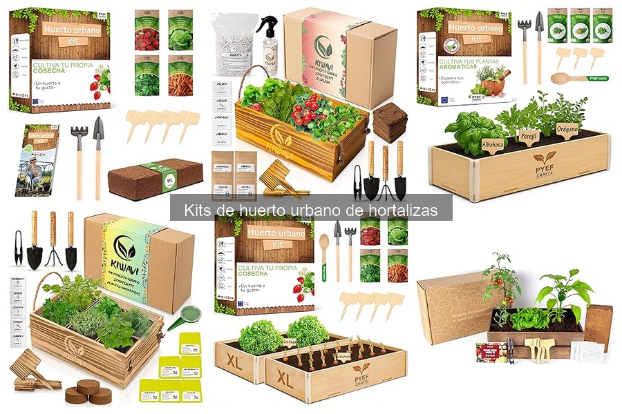 Guía para elegir el mejor kit de huerto urbano de hortalizas