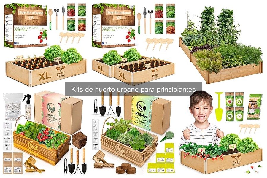 Guía para Elegir el Mejor Kit de Huerto Urbano para Principiantes