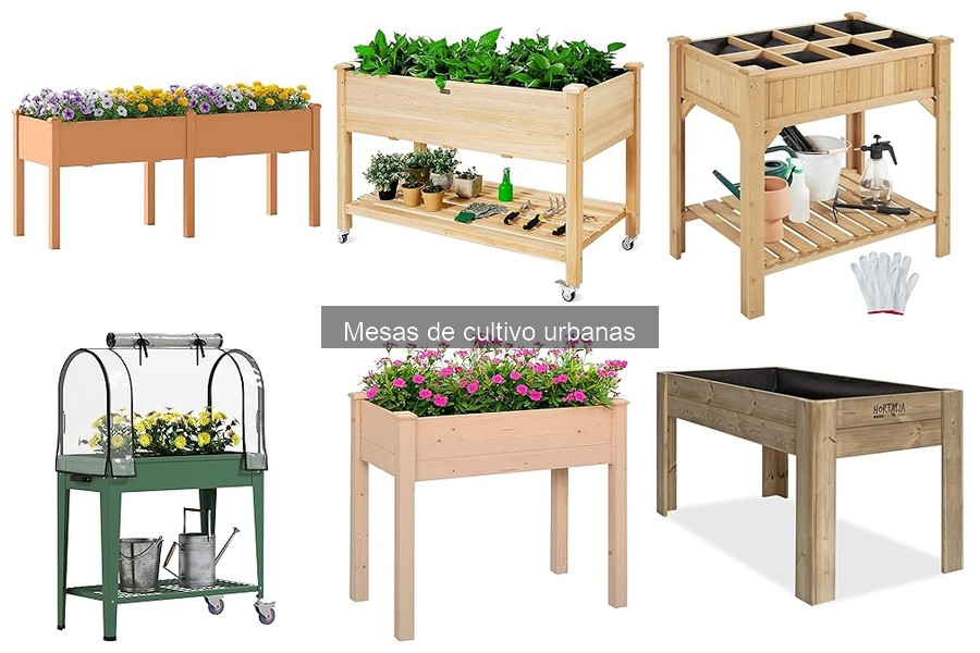 Guía para Elegir la Mejor Mesa de Cultivo Urbana