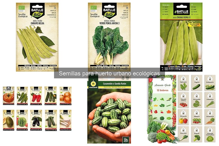 Guía para Elegir Semillas Ecológicas para Tu Huerto Urbano
