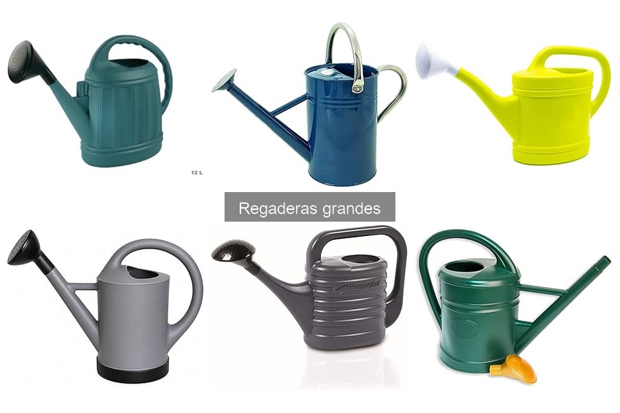 ** Historias de éxito con regaderas grandes para huertos urbanos