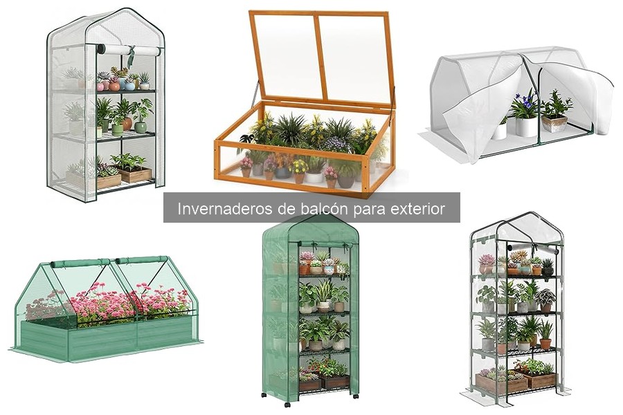 ** Ideas de plantas ideales para invernaderos de balcón
