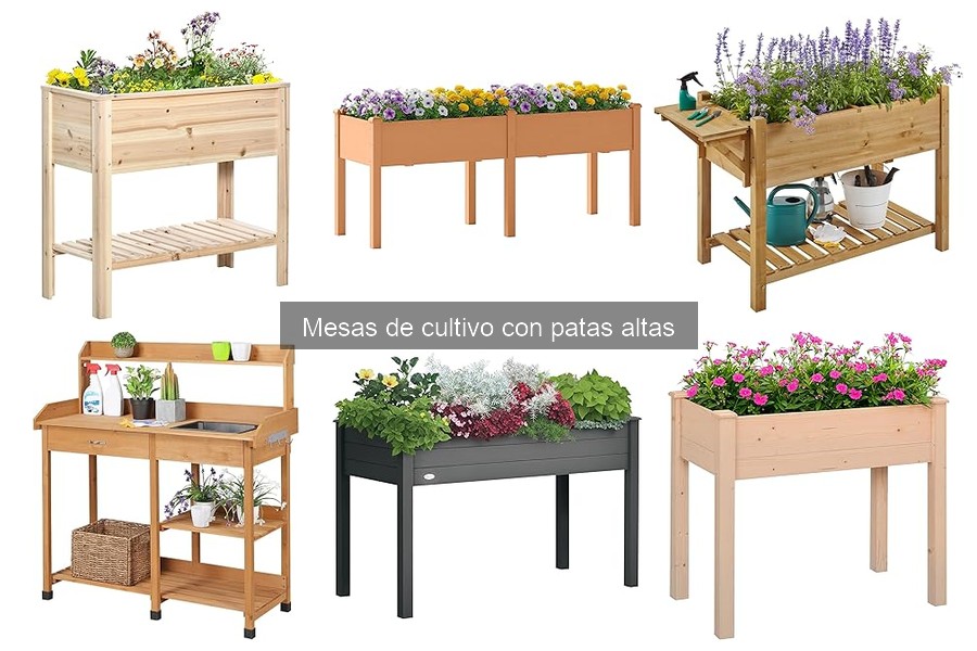 Ideas para Mesas de Cultivo Altas en Espacios Pequeños
